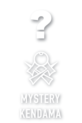 ❓ MYSTERY KENDAMA ❓